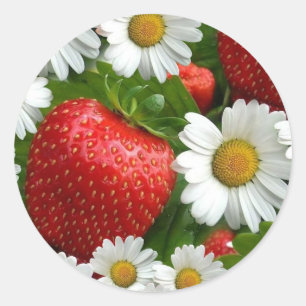 Gänseblümchen und Erdbeeren Runder Aufkleber