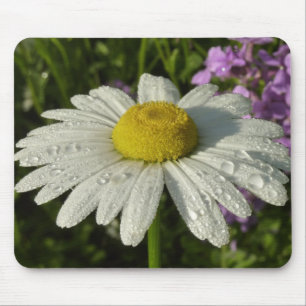 Gänseblümchen und Hesperis Botanik Mousepad