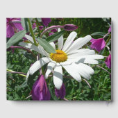 Gänseblümchen und Schmalzweide Wildblume Gästebuch (Rückseite)