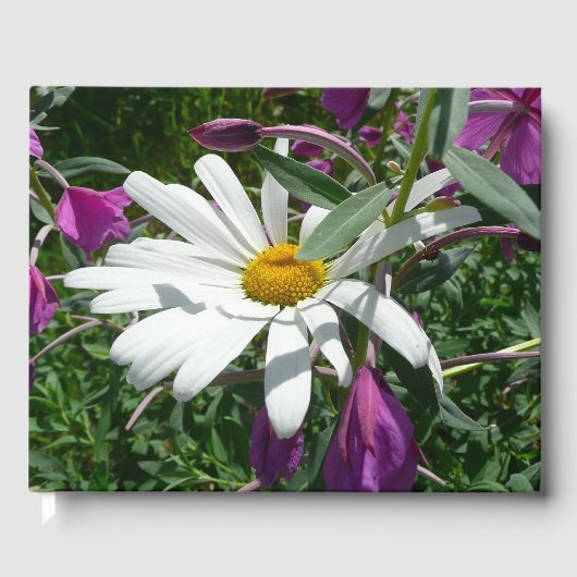 Gänseblümchen und Schmalzweide Wildblume Gästebuch (Vorderseite)