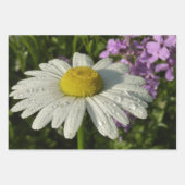 Gänseblümchen und Schmalzweide Wildblume Geschenkpapier Set (Vorderseite 2)