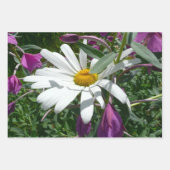 Gänseblümchen und Schmalzweide Wildblume Geschenkpapier Set (Vorderseite)