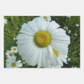 Gänseblümchen und Schmalzweide Wildblume Geschenkpapier Set (Vorderseite 3)