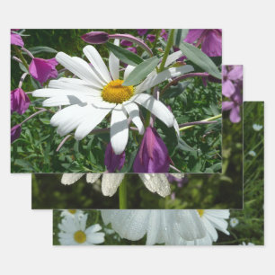 Gänseblümchen und Schmalzweide Wildblume Geschenkpapier Set