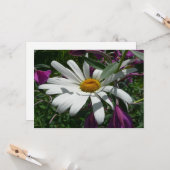Gänseblümchen und Schmalzweide-Wildblume Karte (Vorderseite/Rückseite Beispiel)