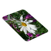 Gänseblümchen und Schmalzweide Wildblume Magnet (Rechte Seite)