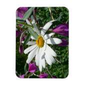 Gänseblümchen und Schmalzweide Wildblume Magnet (Vertikal)
