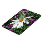Gänseblümchen und Schmalzweide Wildblume Magnet (Linke Seite)