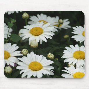 Gänseblümchen verrückt mousepad