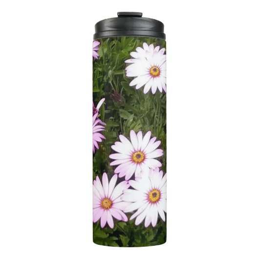 Gänseblümchen Wasserbecher Thermosbecher (Vorderseite)
