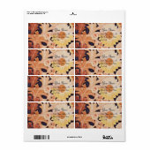 GÄNSEBLÜMCHEN, weißes braunes Schwarzes (Vorne)