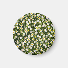 Gänseblümchen-Wiese-Magnet Magnet