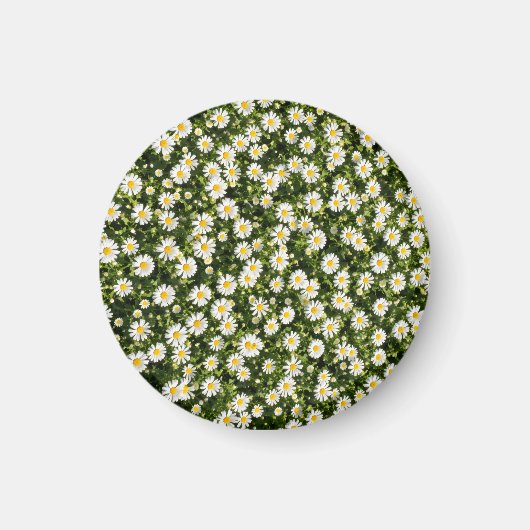 Gänseblümchen-Wiese-Magnet Magnet (Vorne)
