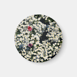Gänseblümchen-Wiese-Magnet Magnet