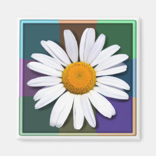 Gänseblümchenmagnet Magnet