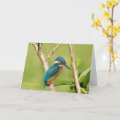 Gänsefischer für Get Well Card Karte (Gelbe Blume)