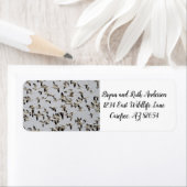 Gänsefliege (Insitu)