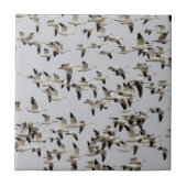 Gänsefliege Fliese (Vorderseite)