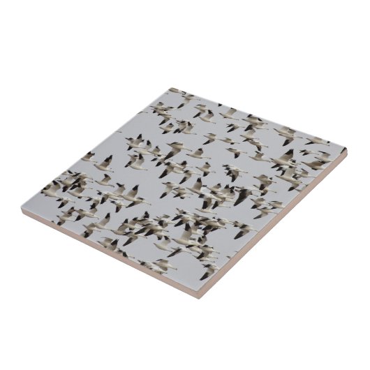 Gänsefliege Fliese (Seite)