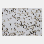 Gänsefliege Geschenkpapier Set (Vorderseite)