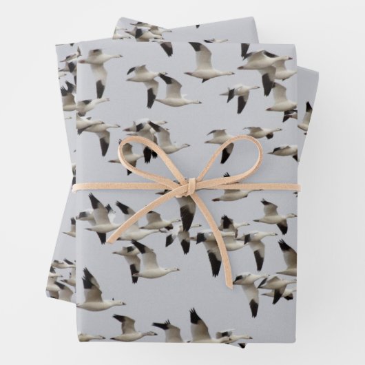 Gänsefliege Geschenkpapier Set (Beispiel)