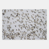 Gänsefliege Geschenkpapier Set (Vorderseite 3)