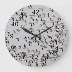 Gänsefliege Große Wanduhr