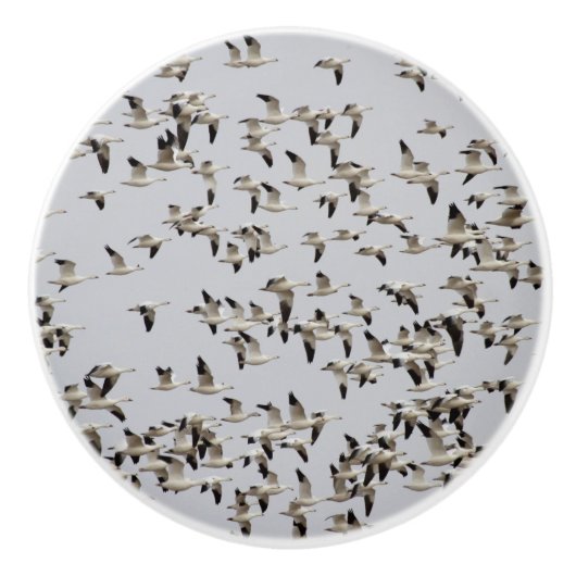 Gänsefliege Keramikknauf (Vorderseite)