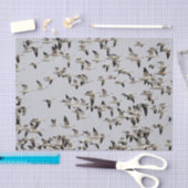 Gänsefliege Seidenpapier (Handwerk)