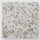 Gänsefliege Steinuntersetzer (Vorderseite)