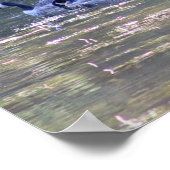 GänseFoto Poster (Ecke)