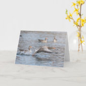 Gänsegeas-Foto Karte (Gelbe Blume)