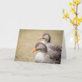 Gänsegeas-Foto Karte (Gelbe Blume)