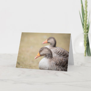 Gänsegeas-Foto Karte