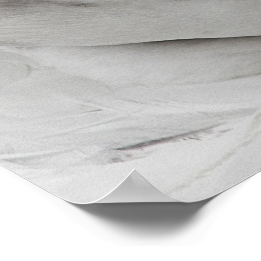 Gänsegesicht Poster (Ecke)