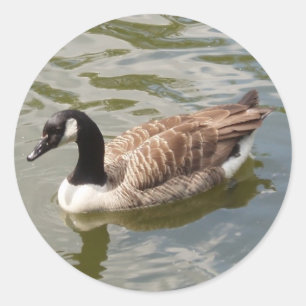 Gänsehaufkleber Runder Aufkleber