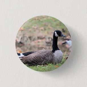 Gänsehaut Button