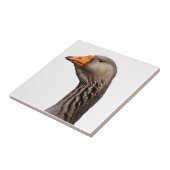 Gänsehaut Fliese (Seite)