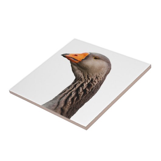 Gänsehaut Fliese (Seite)