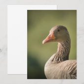 Gänsehaut-Fotokarte Save The Date (Vorne/Hinten)