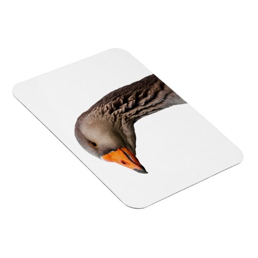 Gänsehaut Magnet (Rechte Seite)