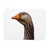 Gänsehaut Magnet (Horizontal)