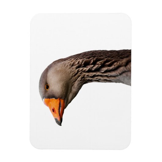 Gänsehaut Magnet (Vertikal)