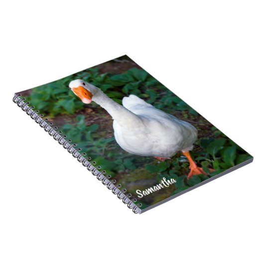 Gänsehaut-Notebook Notizblock (Rechte Seite)