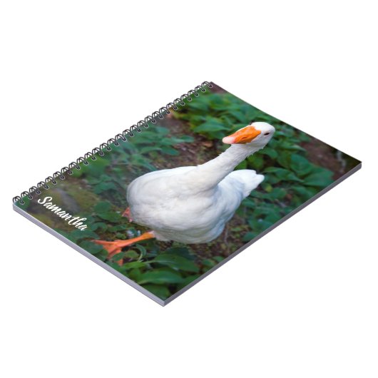 Gänsehaut-Notebook Notizblock (Linke Seite)