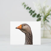 Gänsehaut Postkarte (Stehend Vorderseite)