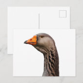 Gänsehaut Postkarte (Vorne/Hinten)