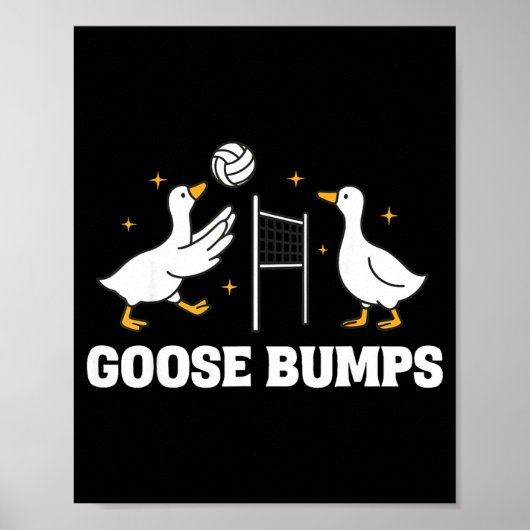 Gänsehaut-Volleyball  Poster (Vorne)