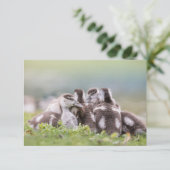 Gänsehuchskarte (Stehend Vorderseite)