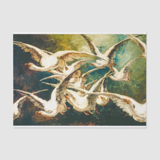 Gänseklemme Seidenpapier (Vorderseite)